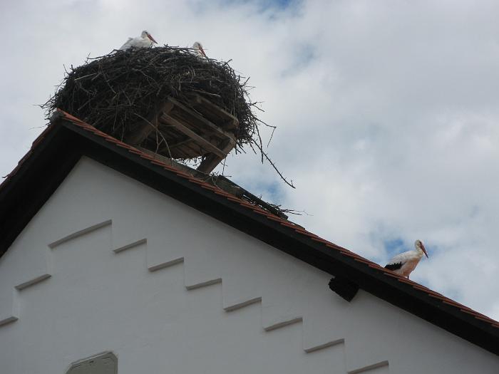 Bild 2008 015